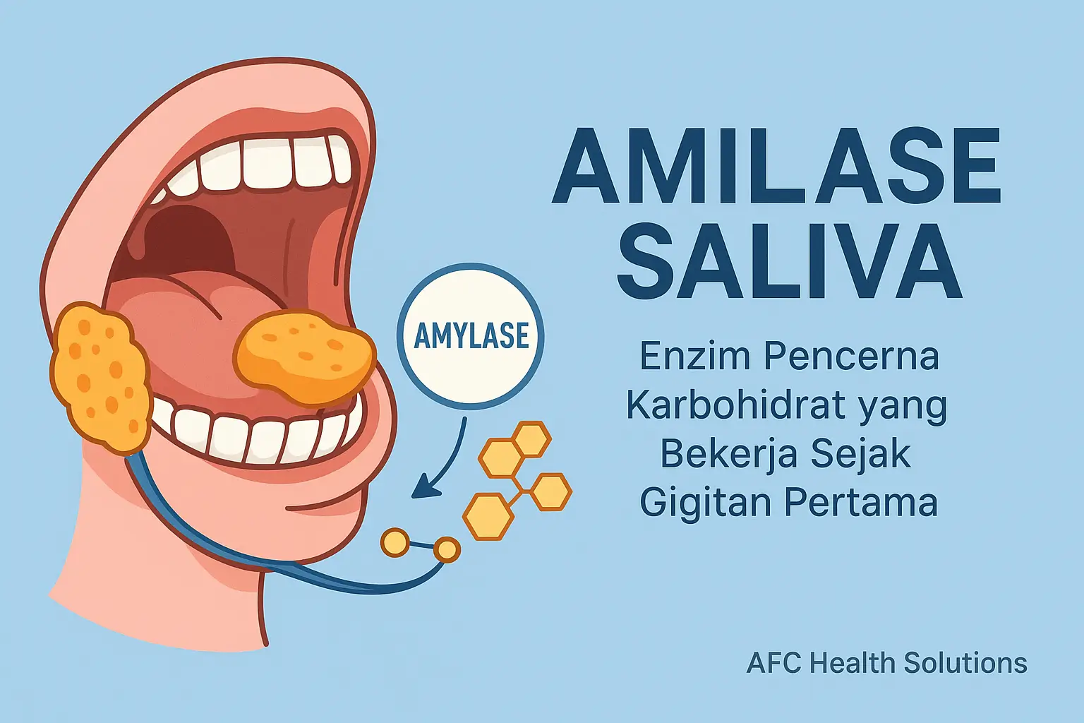 Amilase Saliva: Enzim Penting dalam Pencernaan Karbohidrat