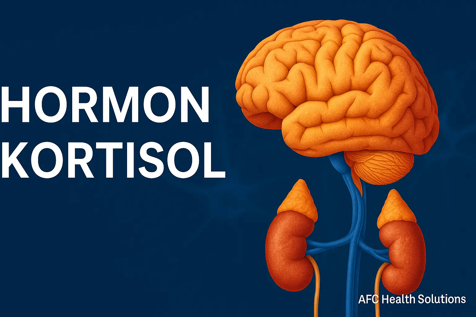 Hormon Kortisol: Fungsi, Regulasi, dan Dampaknya bagi Kesehatan