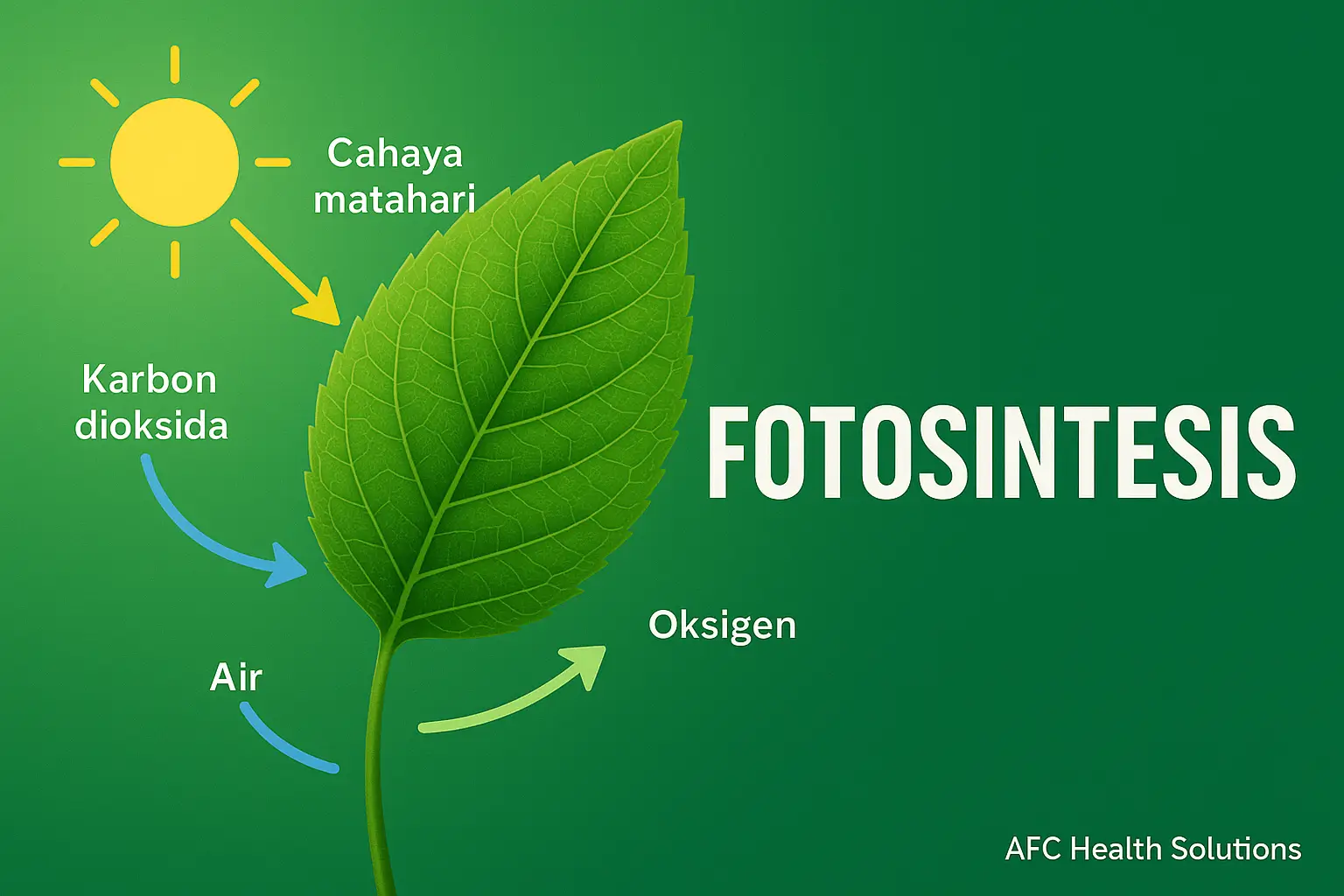 Fotosintesis: Proses Vital bagi Kehidupan di Bumi