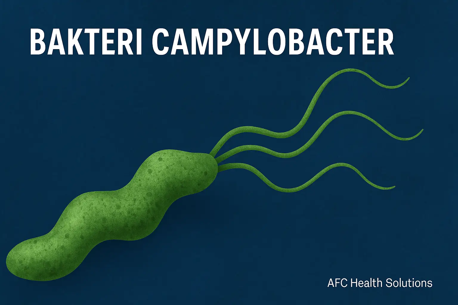Mengenal Bakteri Campylobacter: Penyebab Utama Diare Global