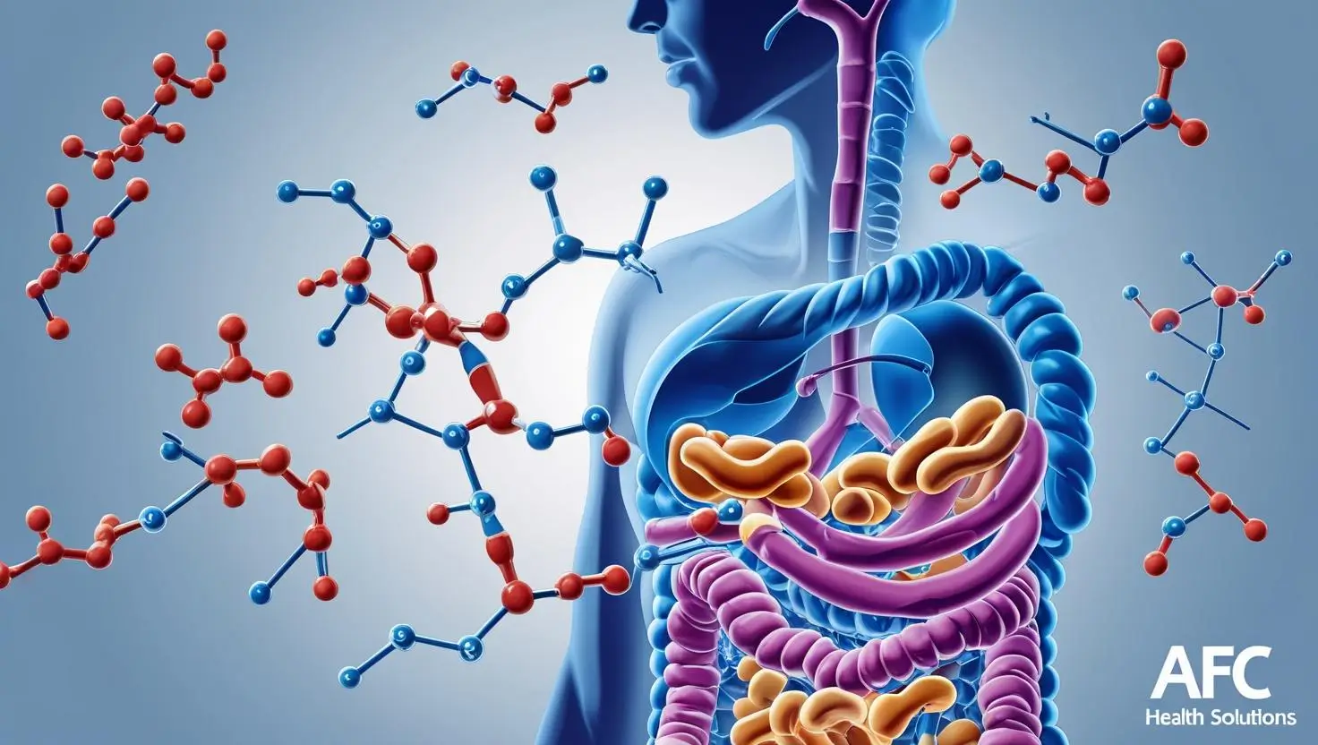 Peptidase: Enzim Kunci dalam Sistem Pencernaan Protein