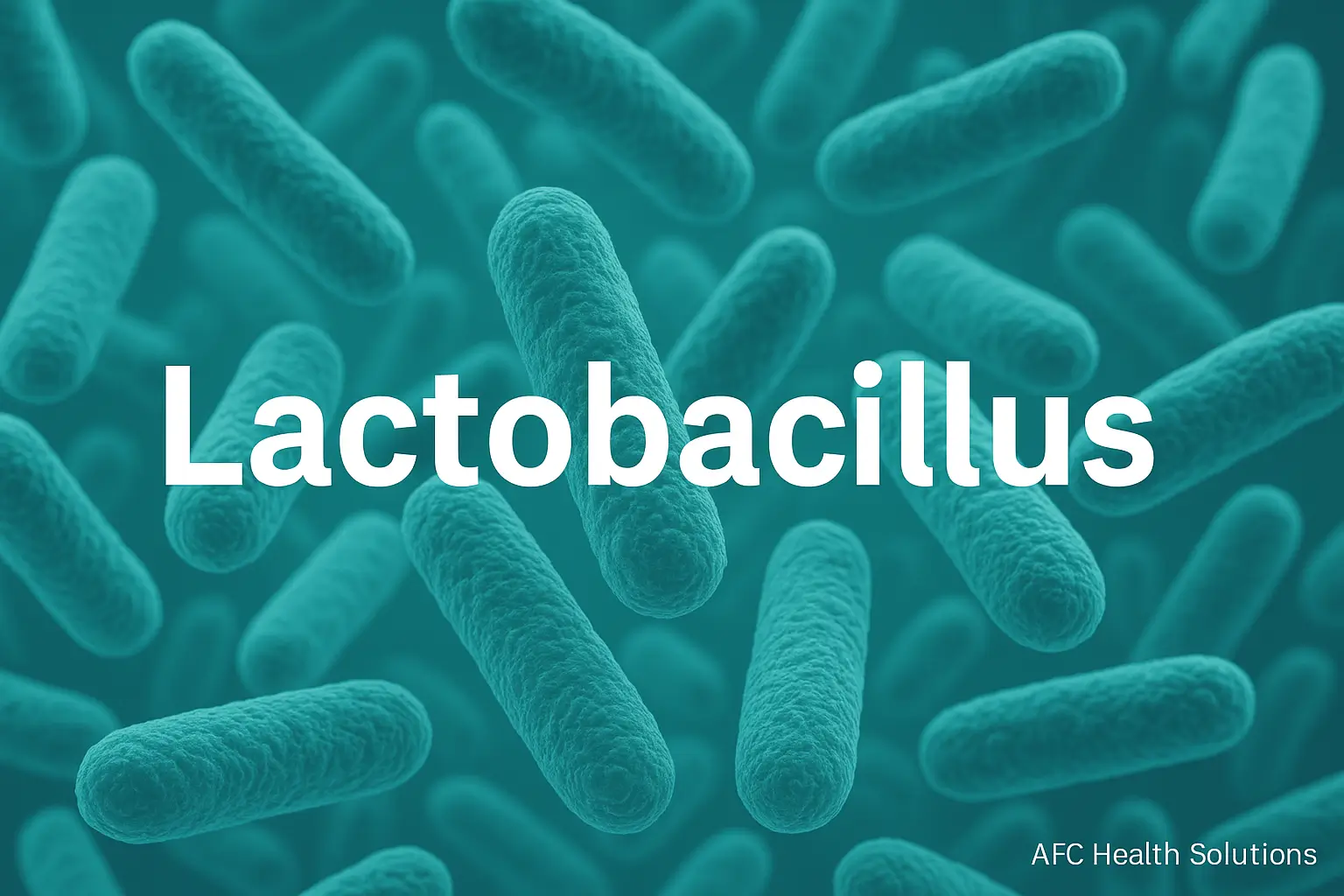 Lactobacillus: Bakteri Baik Penjaga Kesehatan Usus dan Tubuh
