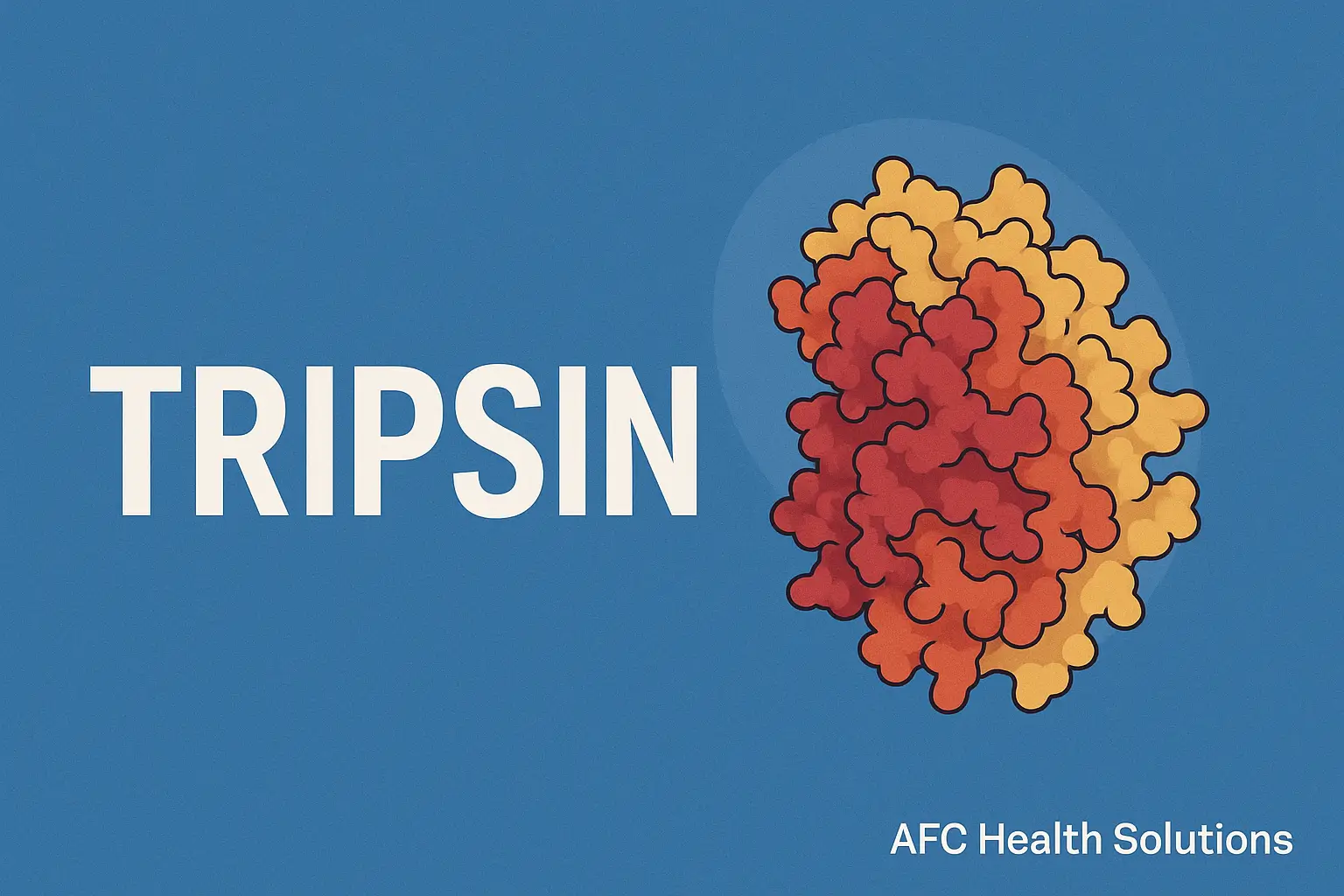 Tripsin: Enzim Pencerna Protein yang Vital untuk Kesehatan
